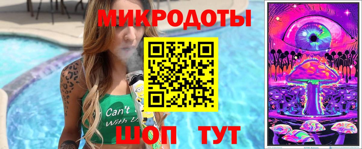 Псилоцибиновые грибы Psilocybine cubensis Ачинск