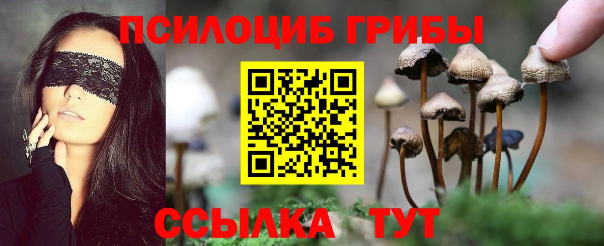 Галлюциногенные грибы Magic Shrooms  Вход с VPN  Ачинск 